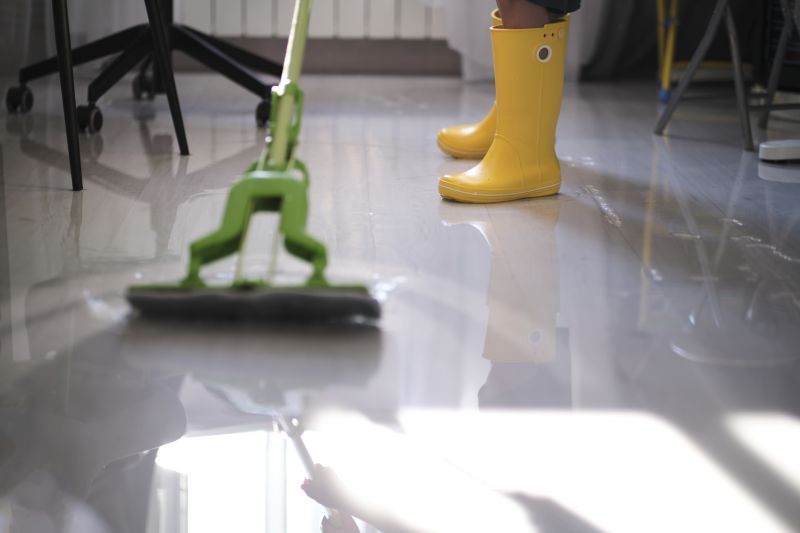 Water Removal Service detail