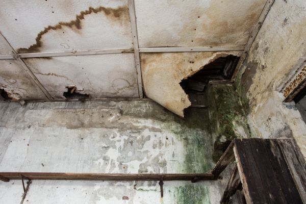 Water Damage Service in Greenwood