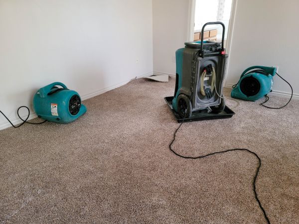 Flood Damage Repair in Greenwood