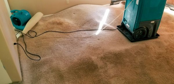 Cost of Flood Damage Cleanup in Greenwood