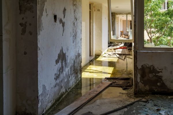 Cost of Water Removal Service in Greenwood