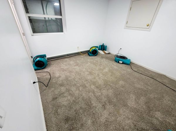 Flood Restoration Service in Greenwood